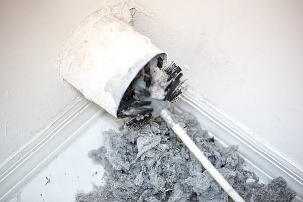 Best Professional Duct Cleaning Services  in Sky Lake, FL